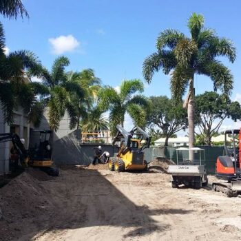 Ibis Phase II Construction Foxtail And Coconut Palm Installation