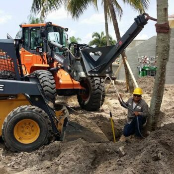 Ibis Phase II Construction Foxtail And Coconut Palm Installation#3