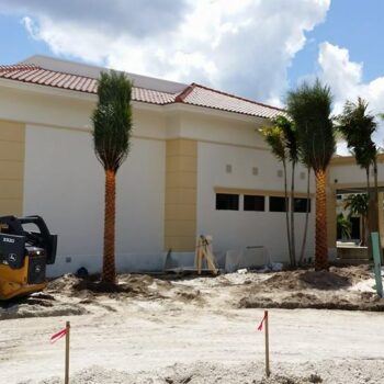 Sylvester Palms Front Of Ibis Sports Village