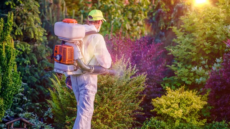 Garden Pest Control